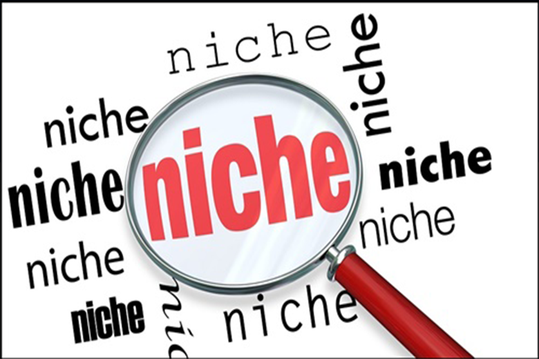 10 lời khuyên để tìm Niche